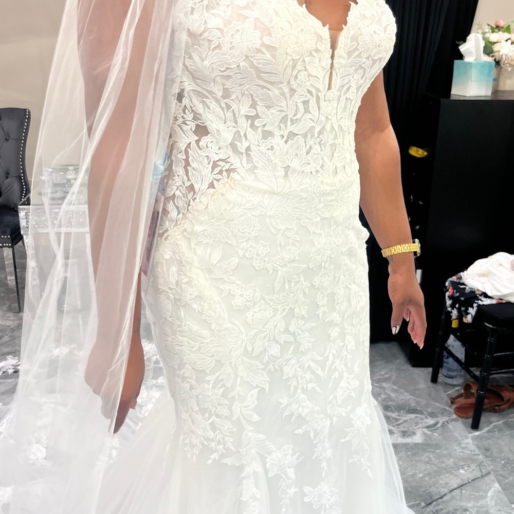 Brand new dress unaltered. Selling dress and veil together